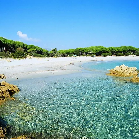 Spacious With Shared Pool Appartement