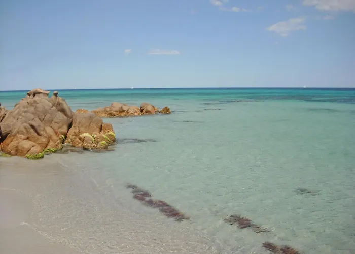 Spacious With Shared Pool Appartement