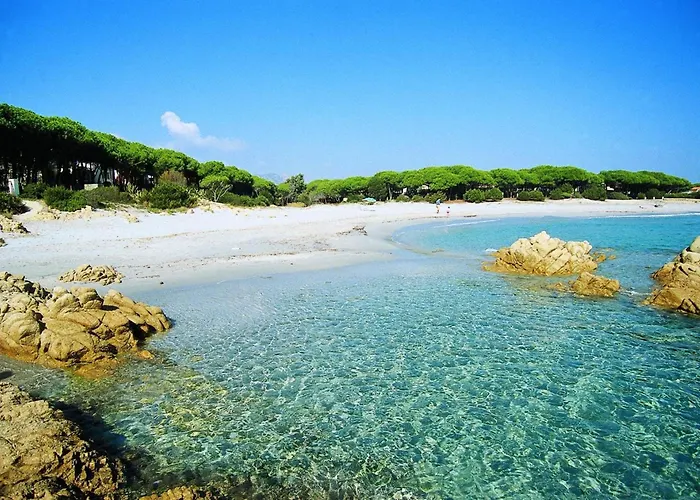 Spacious With Shared Pool Apartment