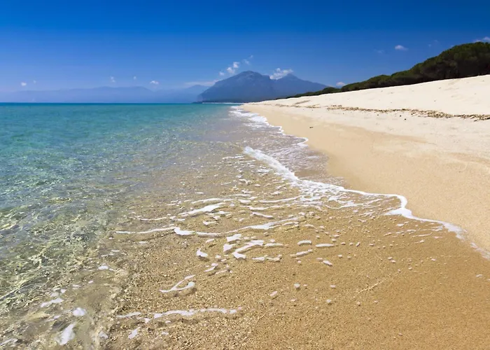 Spacious With Shared Pool Appartement *